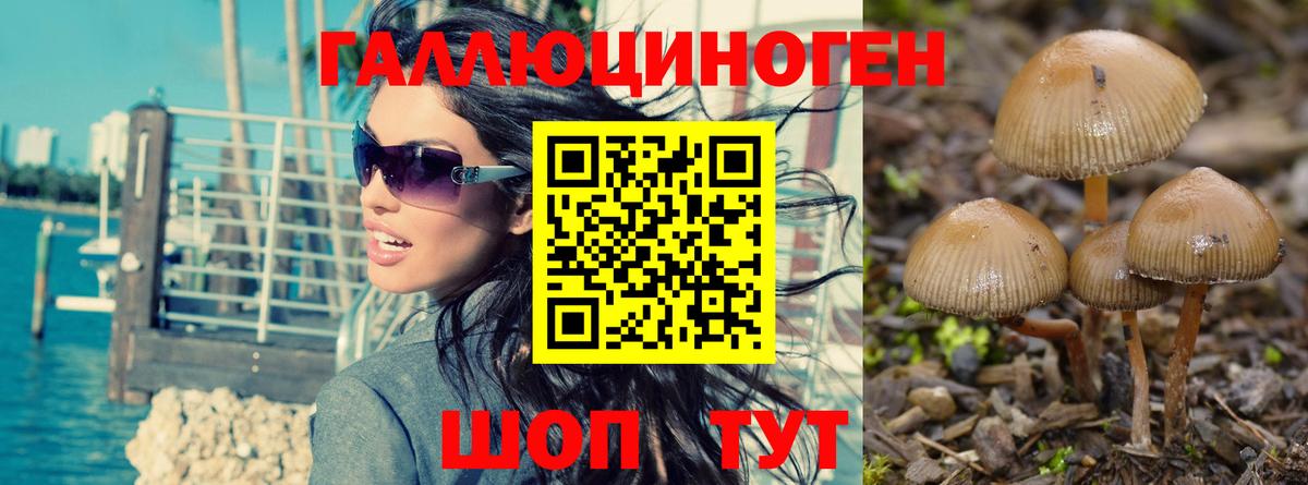 Псилоцибиновые грибы ЛСД  Вход с VPN  Вязьма  Псилоцибиновые грибы Cubensis 