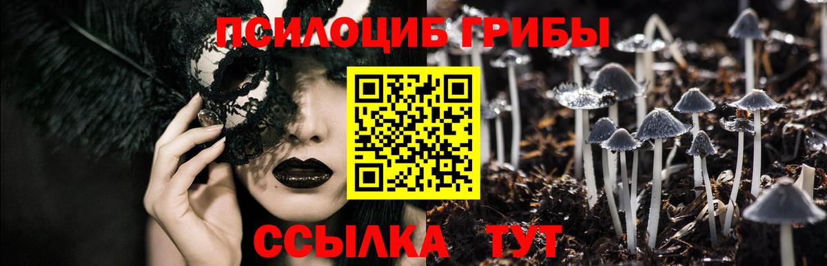 Вязьма  Конопля  Канабис  Вход с VPN  ГАШ  МЕФ   Героин  МДМА 