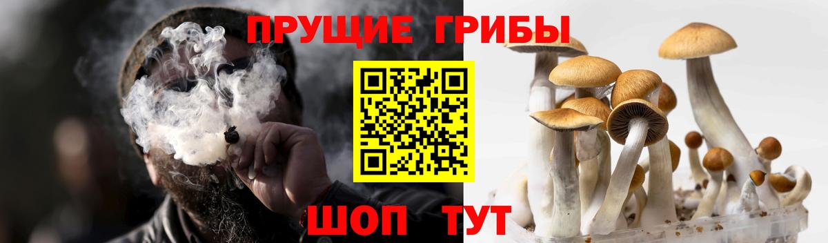 Псилоцибиновые грибы ЛСД Вязьма